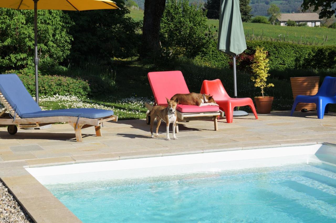 Domaine De Saint Loth' Bed and Breakfast Exteriör bild