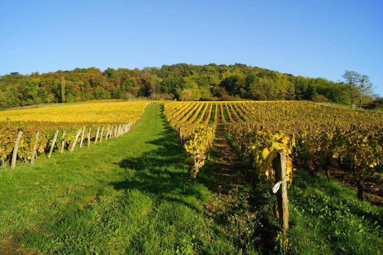 Domaine De Saint Loth' Bed and Breakfast Exteriör bild